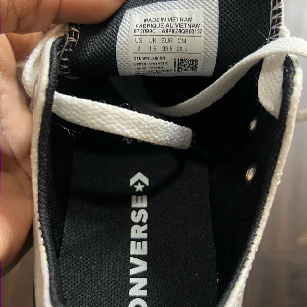 Converse Monochrome High-Tops